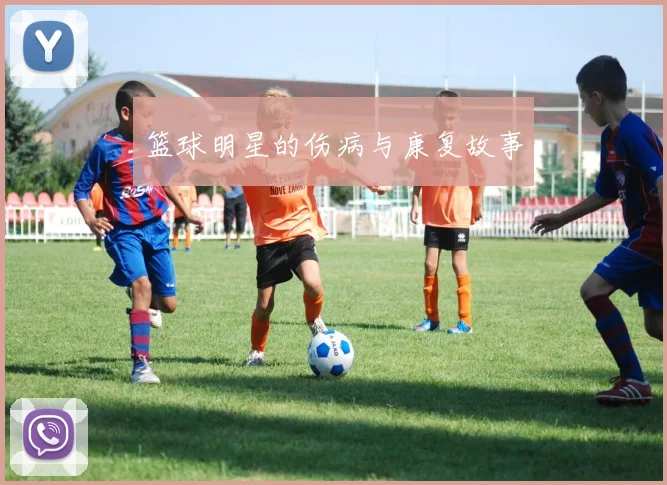 篮球明星的伤病与康复故事